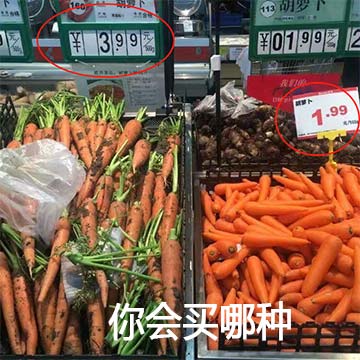 哈爾濱品牌策劃