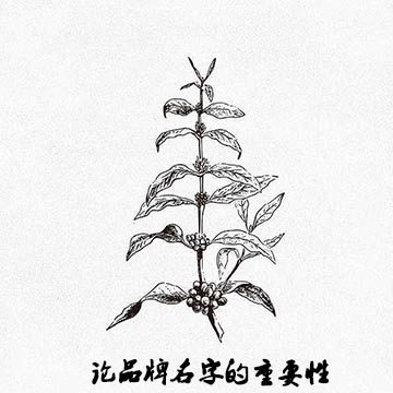 哈爾濱品牌策劃