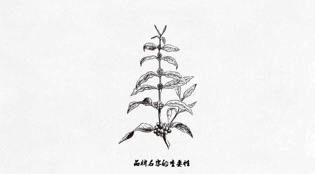 哈爾濱品牌策劃