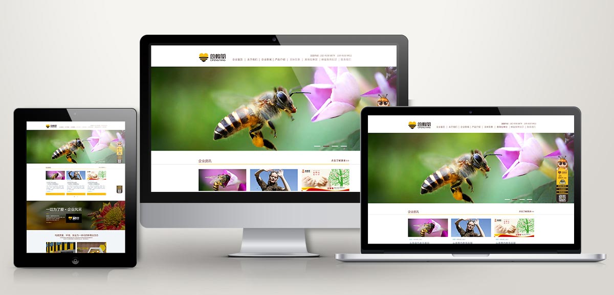 哈爾濱品牌設計